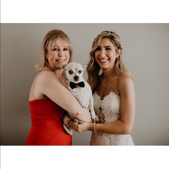 RIP MY ROMEO, you were a beautiful dog & my companion for 16 years🙏🏻 - Picture 3 of 16